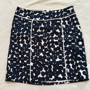 Ann Taylor Skirt 8